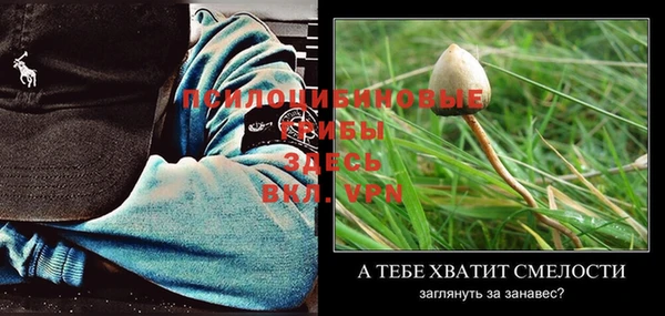не бодяженный Алексин